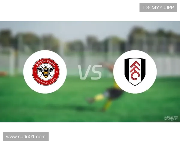 富勒姆基金会2025-28年社区战略更新